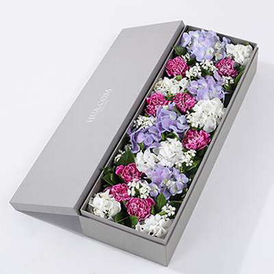 紫色白邊康乃馨8枝、白繡球1枝、藍(lán)紫色繡球1枝